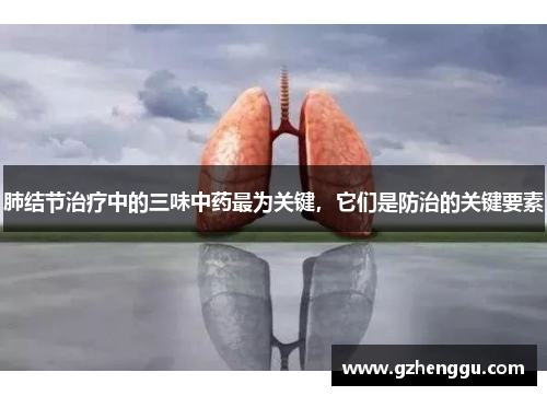肺结节治疗中的三味中药最为关键,它们是防治的关键要素 肺结节治疗中的三味中药最为关键,它们是防治的关键要素