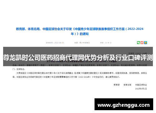 尊龙凯时公司医药招商代理网优势分析及行业口碑评测