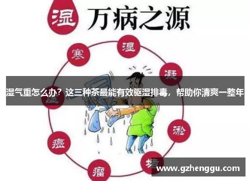 湿气重怎么办?这三种茶最能有效驱湿排毒,帮助你清爽一整年 湿气重怎么办?这三种茶最能有效驱湿排毒,帮助你清爽一整年