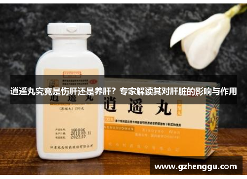 逍遥丸究竟是伤肝还是养肝?专家解读其对肝脏的影响与作用 逍遥丸究竟是伤肝还是养肝?专家解读其对肝脏的影响与作用