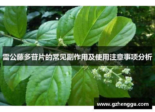 雷公藤多苷片的常见副作用及使用注意事项分析