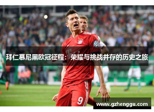 拜仁慕尼黑欧冠征程：荣耀与挑战并存的历史之旅